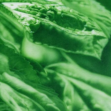 green, close up, detail, summer, sun, handmade, art, airbrush, photorealistic, canvas, painting, leaf, tamas mike 